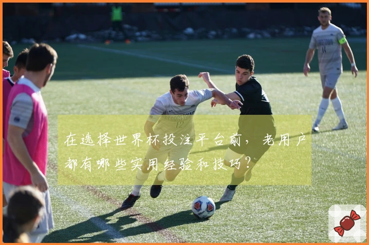 在选择世界杯投注平台前，老用户都有哪些实用经验和技巧？