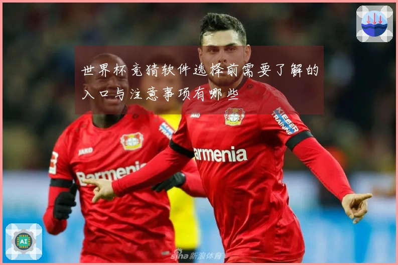 世界杯竞猜软件选择前需要了解的入口与注意事项有哪些