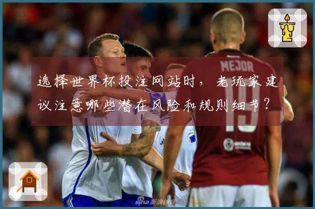 选择世界杯投注网站时，老玩家建议注意哪些潜在风险和规则细节？