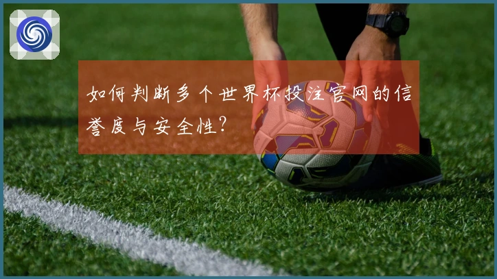 如何判断多个世界杯投注官网的信誉度与安全性？