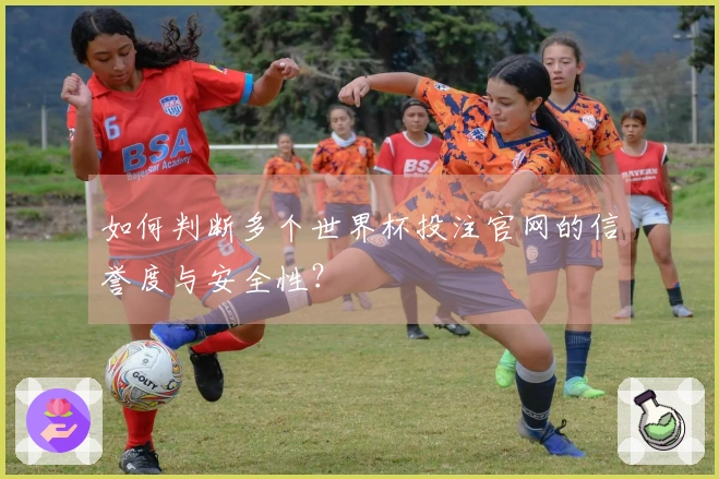 如何判断多个世界杯投注官网的信誉度与安全性？